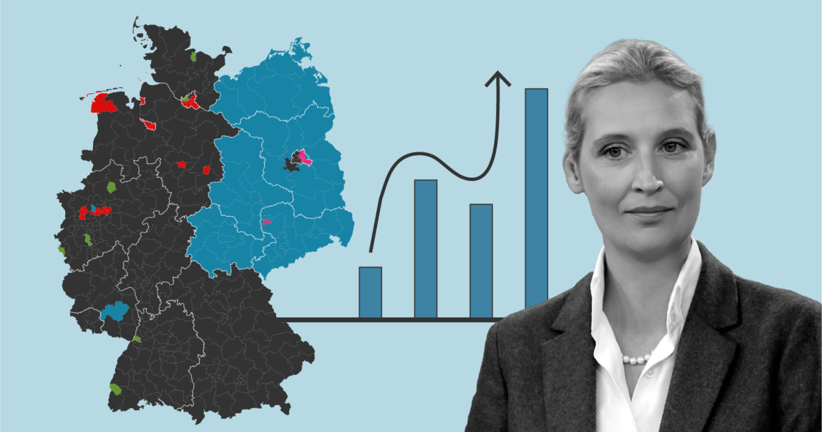 A portraying the rise of Germany’s far-right AFD party | Election news