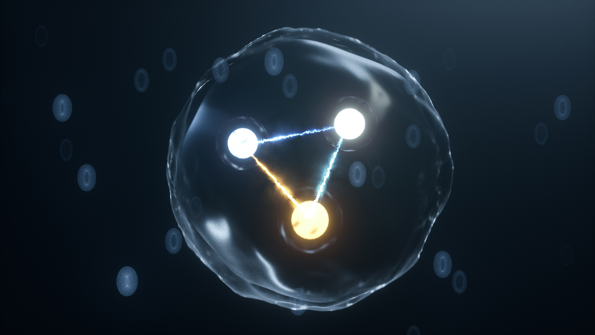 Asymmetry in the light quark flavor of the Nucleon Sea