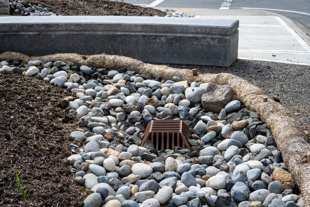 New research highlights the benefits of natural flood management