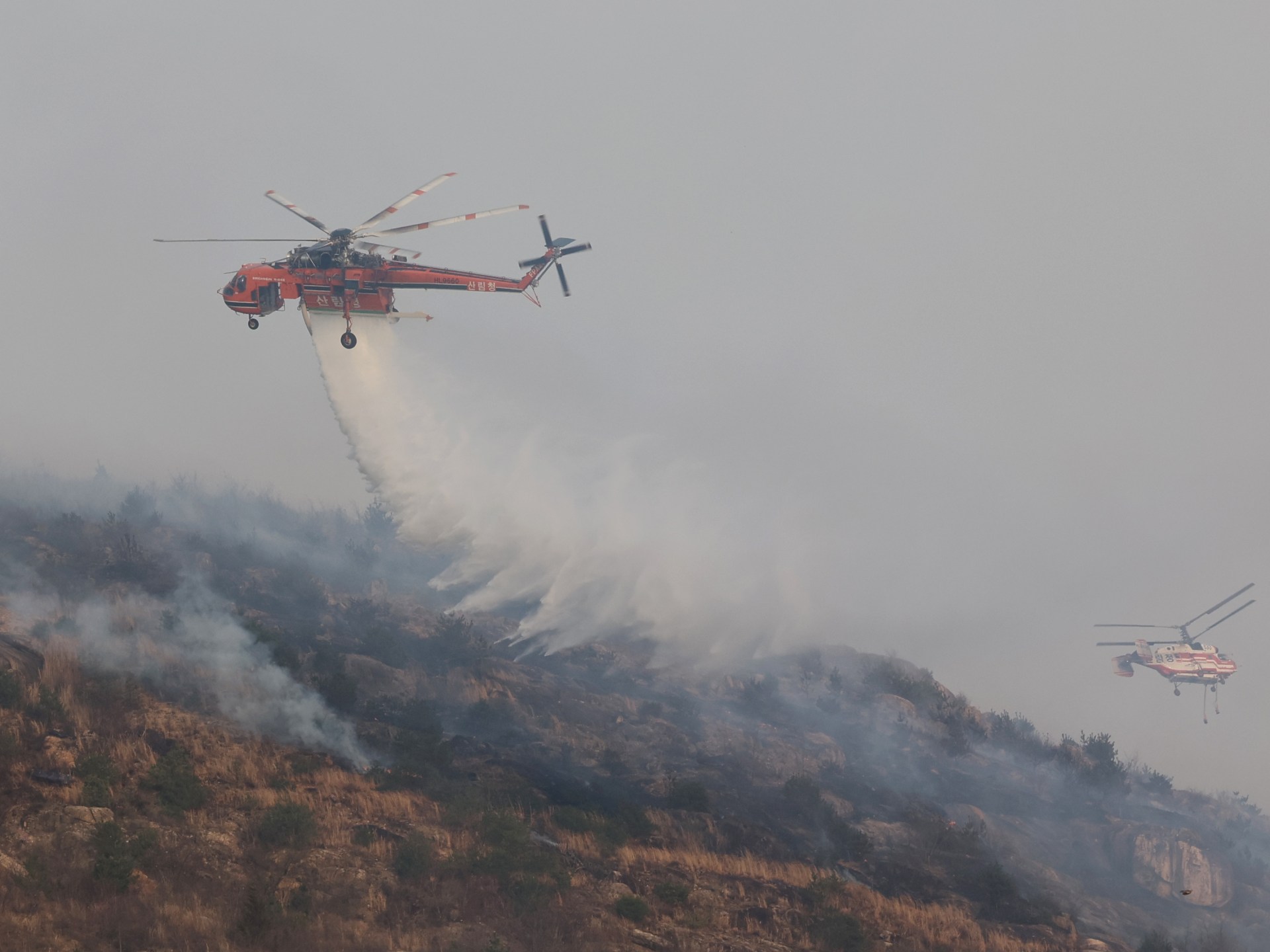 Deaths rise to 28 in South Korea’s weekly wildfires | Environmental News