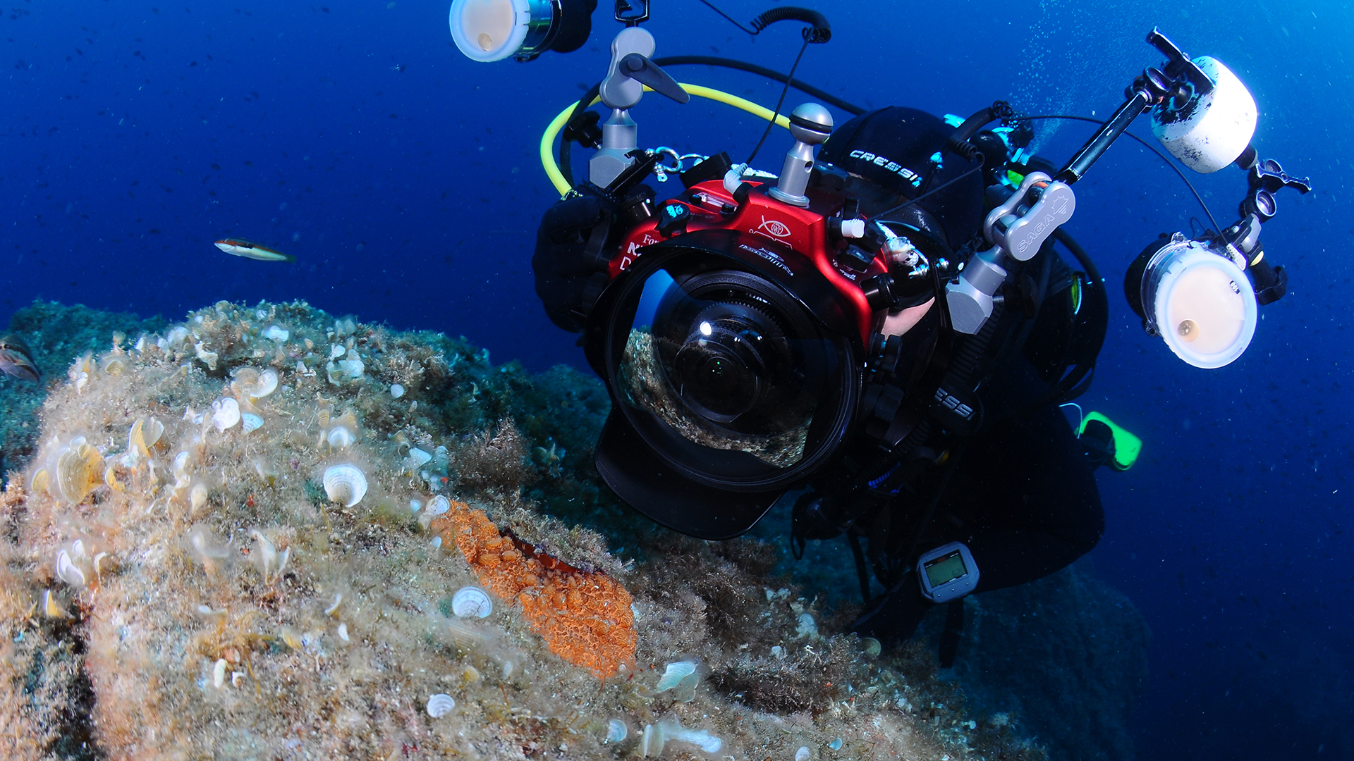 An innovative marine biology observation system