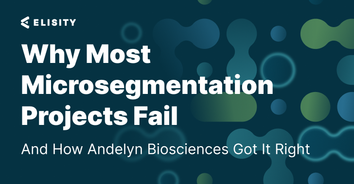 Why most microsegmentation projects fail and how Anderin Bioscience did it right