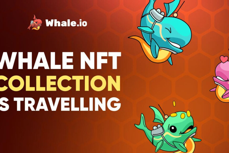 Whale bridges the NFT collection from ton blockchain to Solana