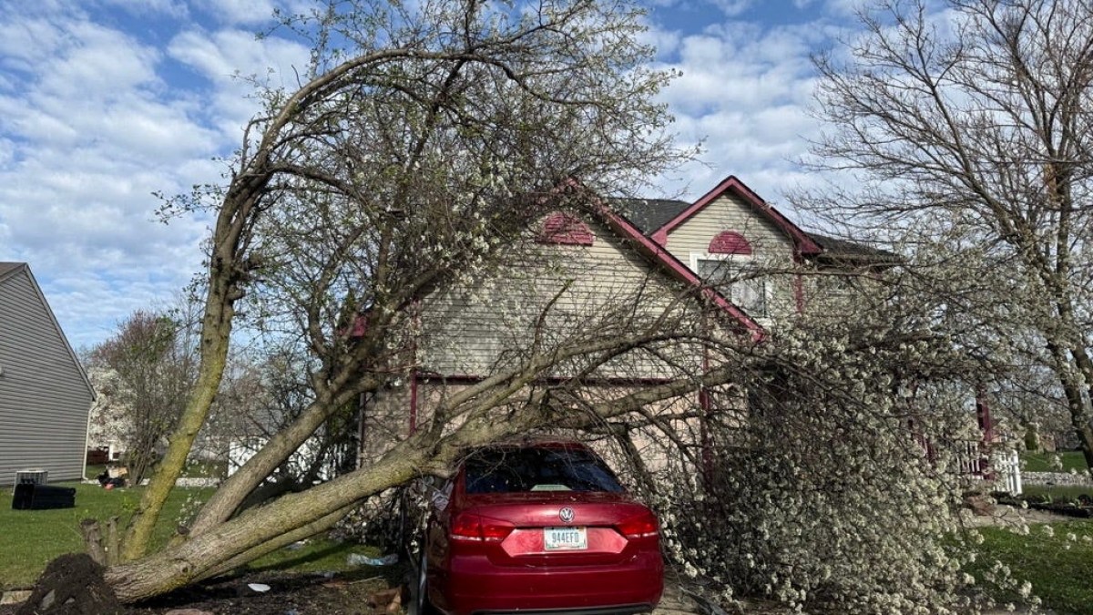 At least two people die as harsh weather clears the south and the Midwest | Weather News