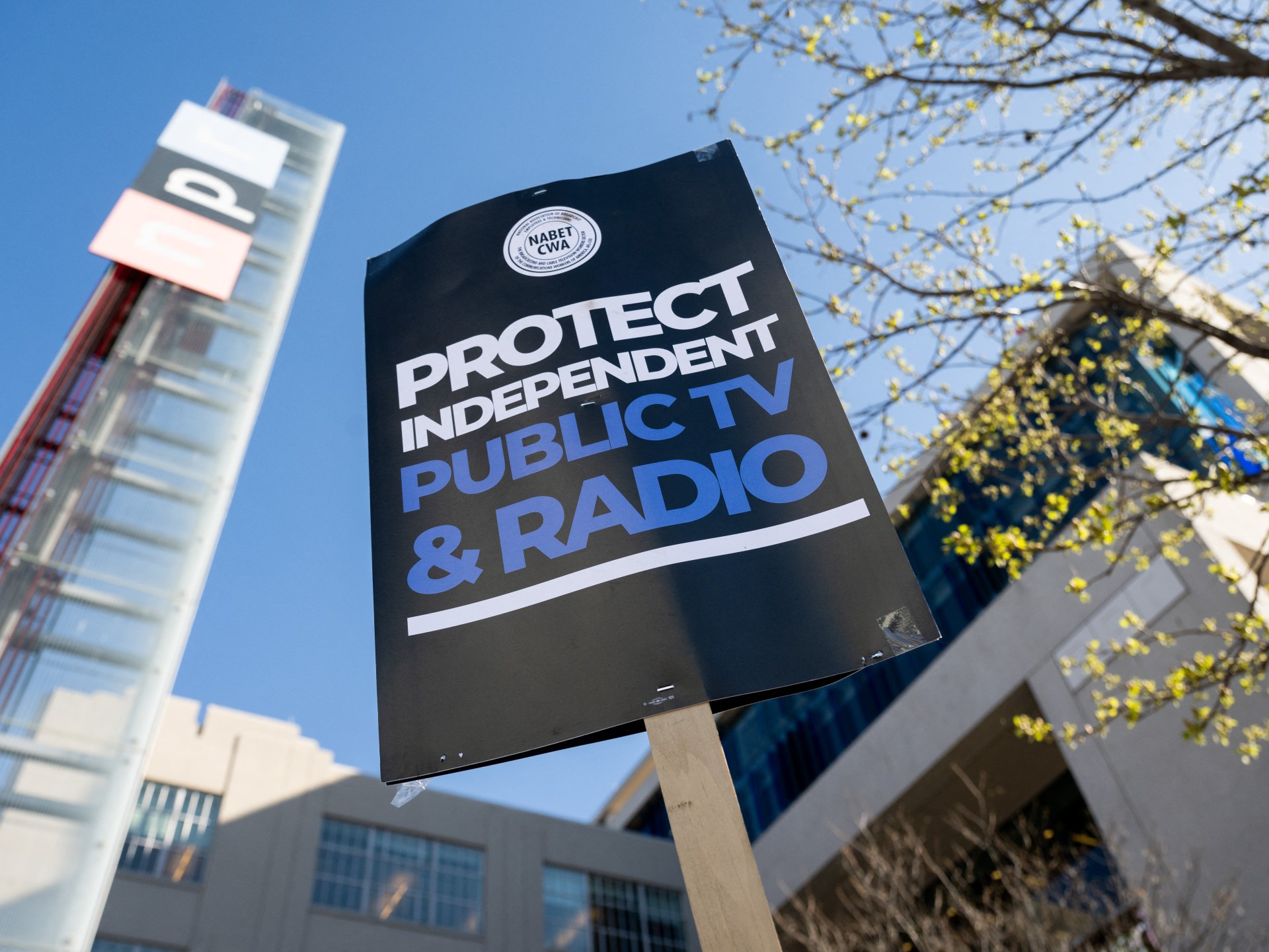 PBS sues Trump for stripping its funds | Business and Economy News