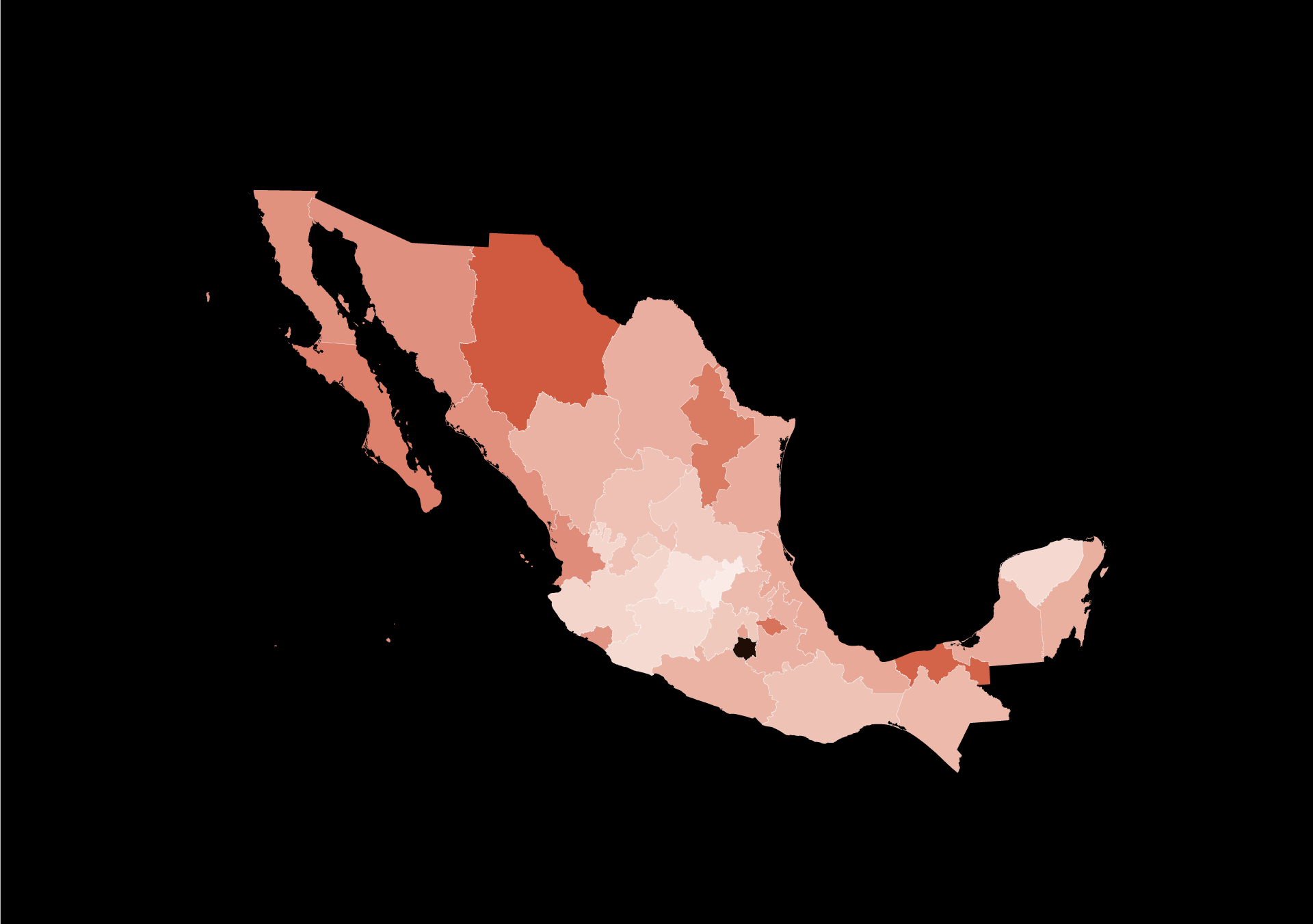 Influencers filmed live on Tiktok: How much ramping is murdered in Mexico? |Women’s Rights News
