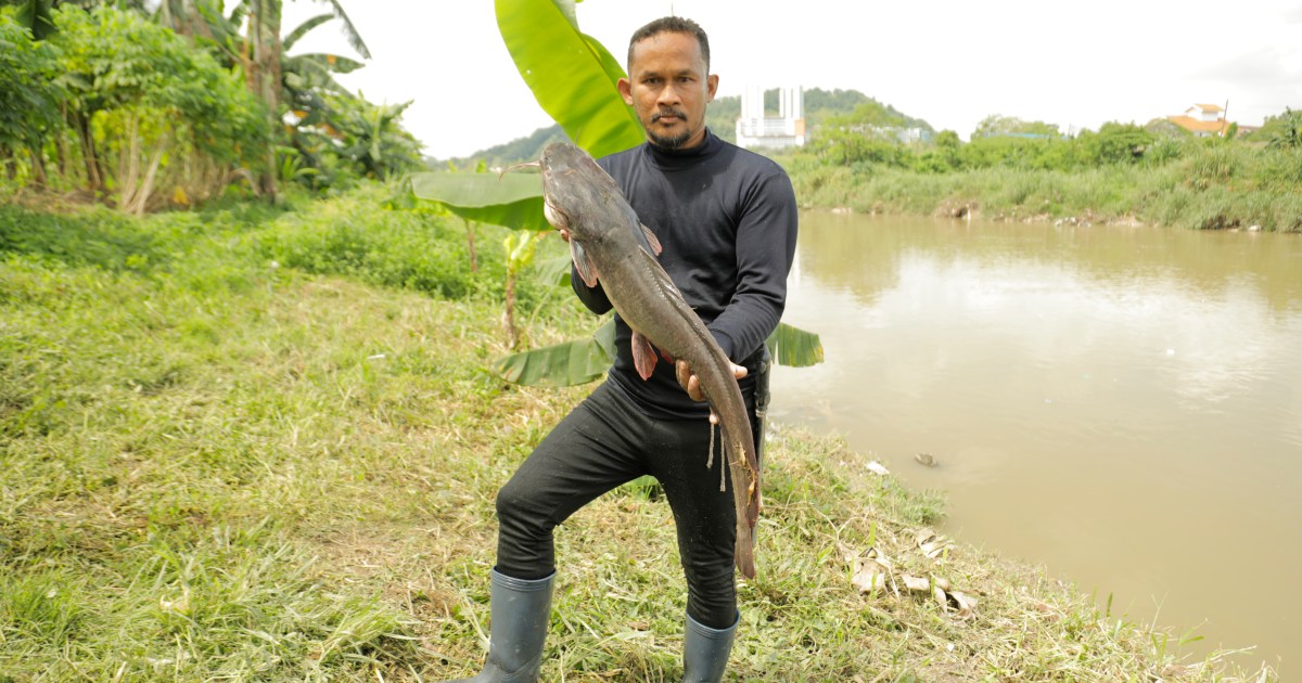 Malaysian “fish hunter” target invasion species, catch one at a time | Environment News