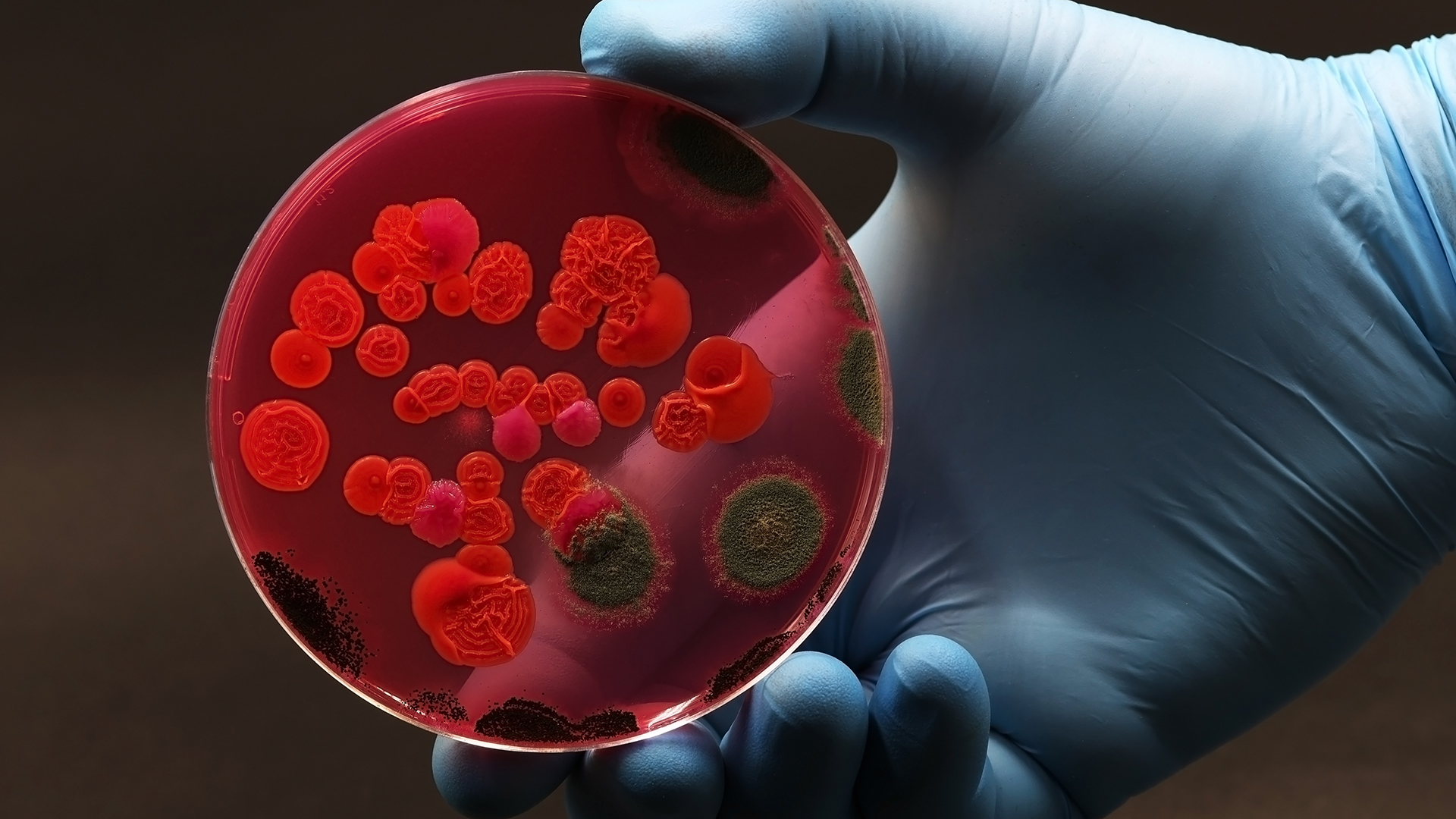 How is the EU working on antibiotic resistance?
