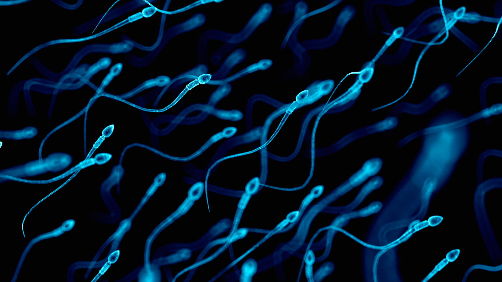 Diagnostic dilemma: Rare semen allergies may have caused infertility in women