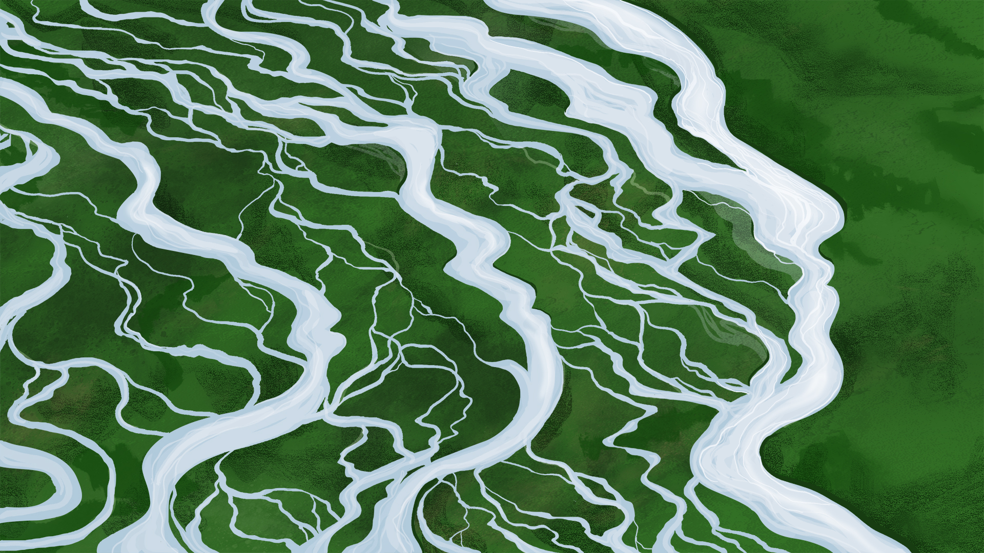 A braided stream, not a family tree: How new evidence upends our understanding of how humans evolved