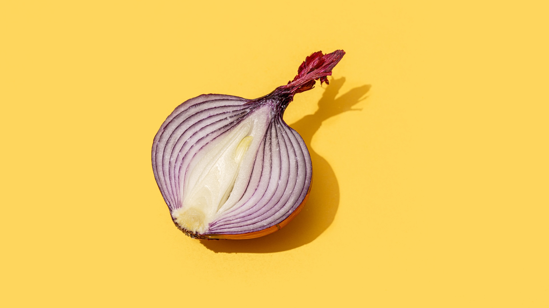 Scientists have resorted to red onions to improve solar cells, which could make solar power more sustainable