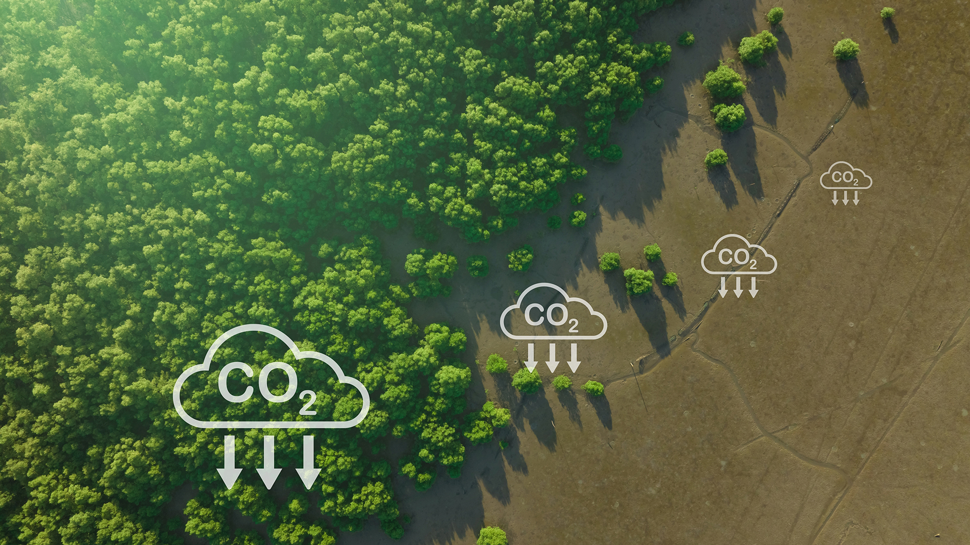 Lessons learned from four years of advancing electrochemical CO2 capture