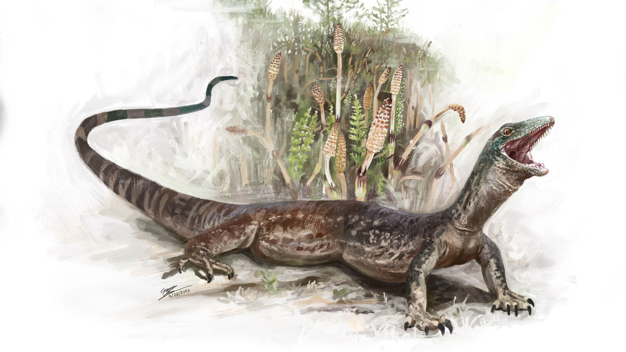 The 160 million-year-old mystical creatures excavated on the Isle of Skye are some lizards and some snakes