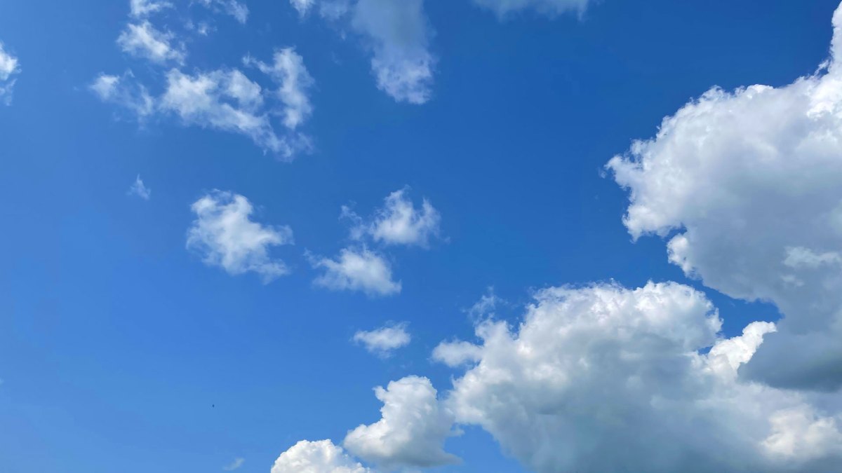 Waffles eat blue skis | TechCrunch