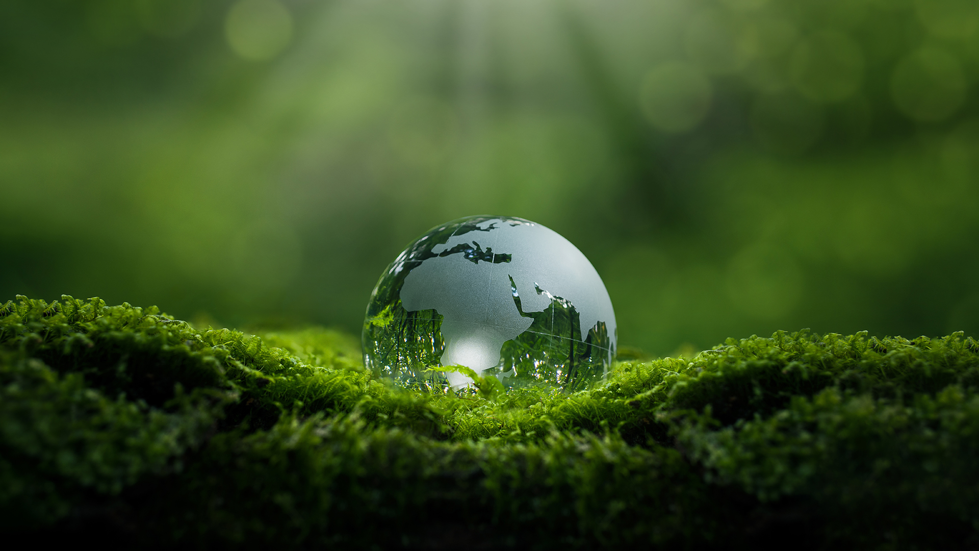 Promoting EU innovation in tellurium-free thermoelectric materials