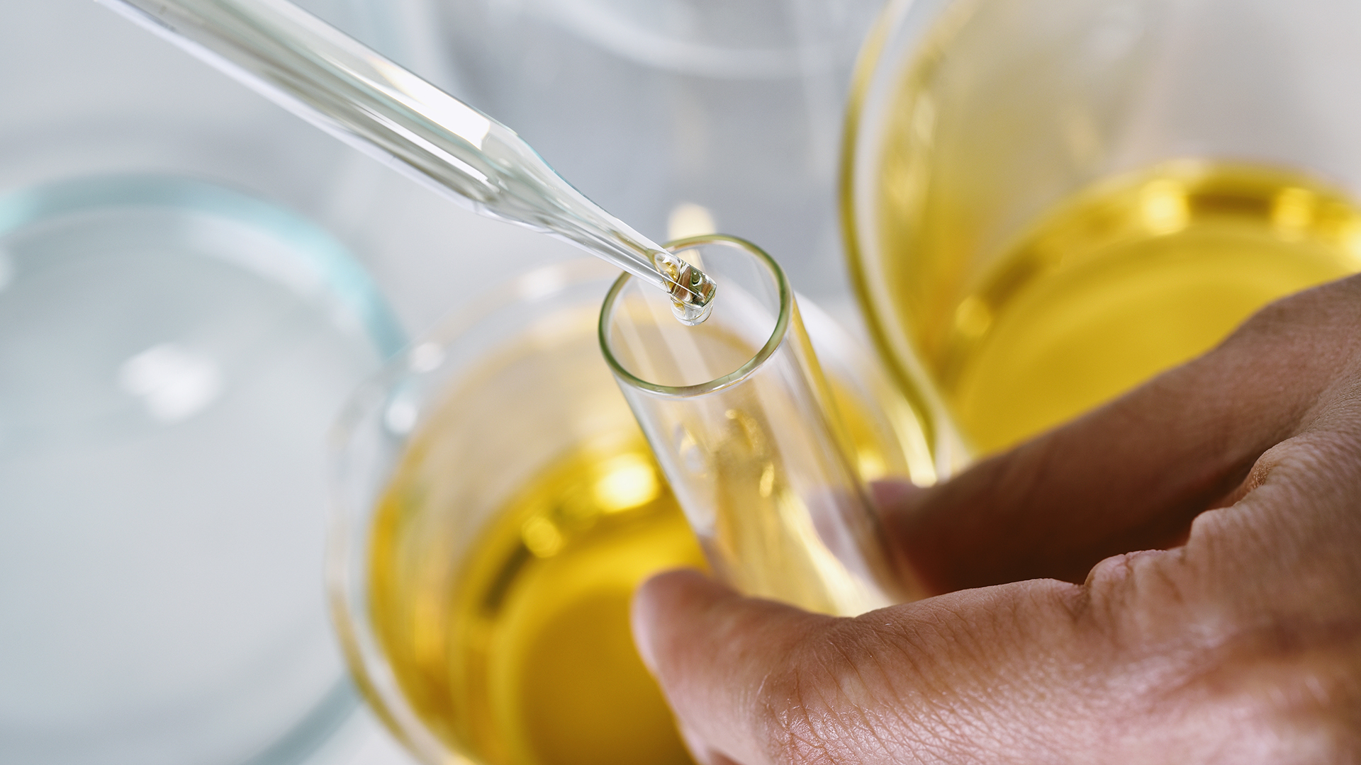 Advances in next-generation biofuels for sustainable transportation