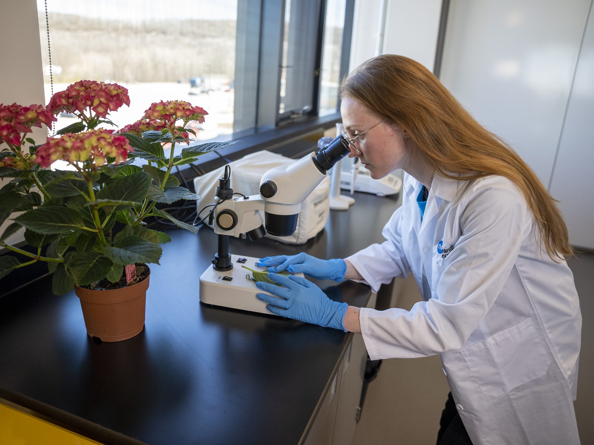 Cutting-edge applied research in key agri-food fields