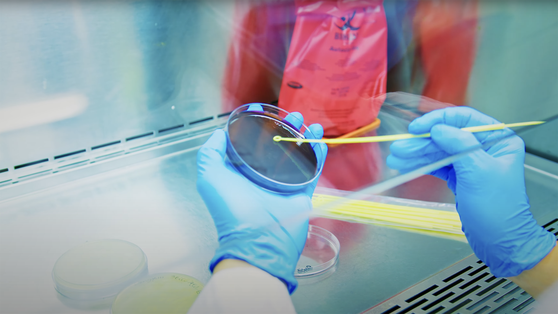 McGill’s multidisciplinary approach to antimicrobial resistance