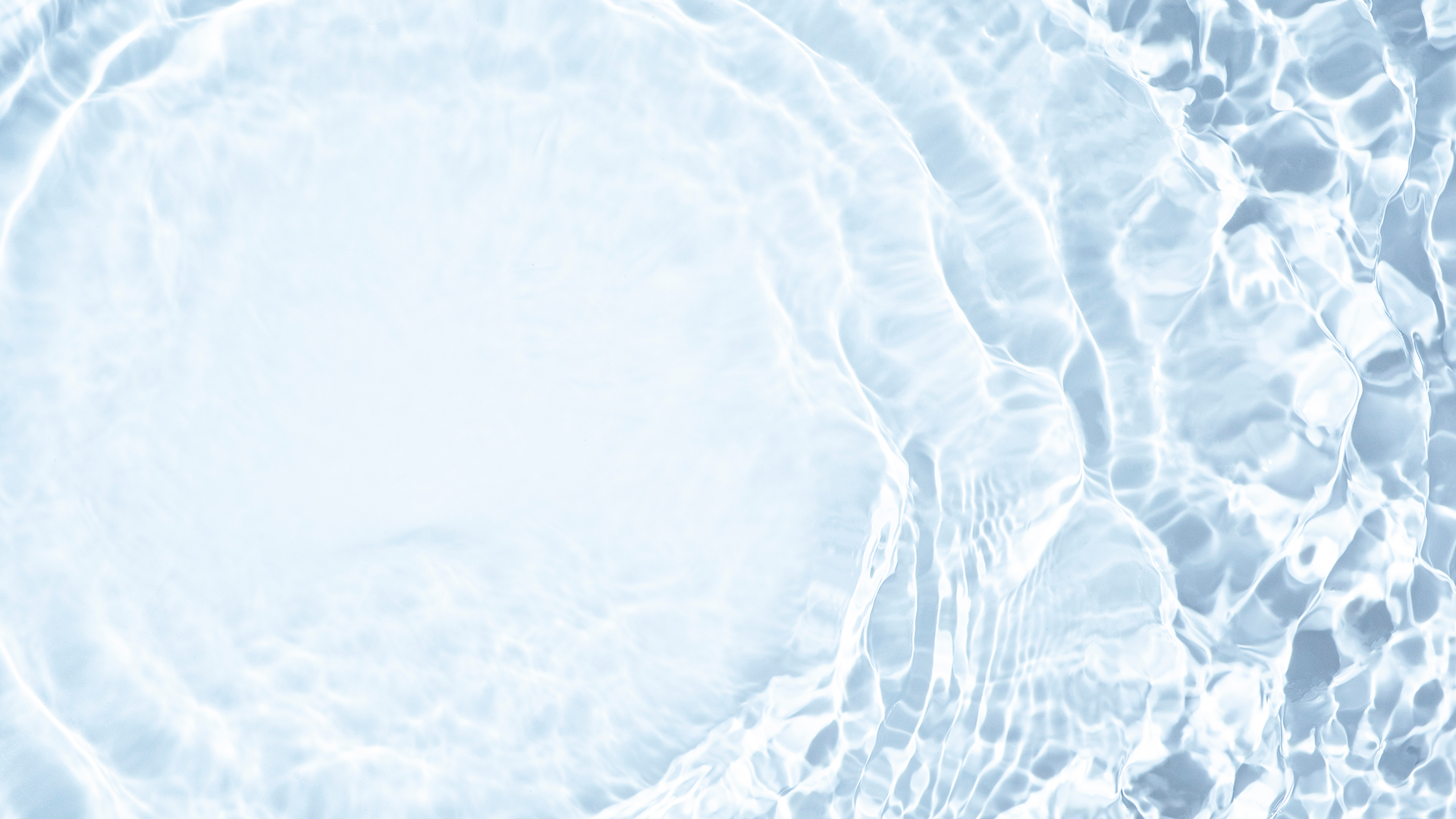 Stopping PFAS: Adsorption barriers and phytoremediation