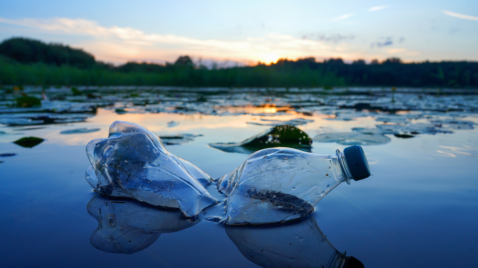 Alliance to End Plastic Waste Progress Report 2024