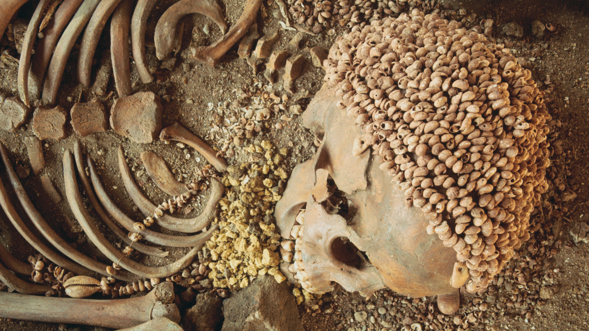 Skeletal analysis confirms Stone Age teenager was attacked by a bear 28,000 years ago