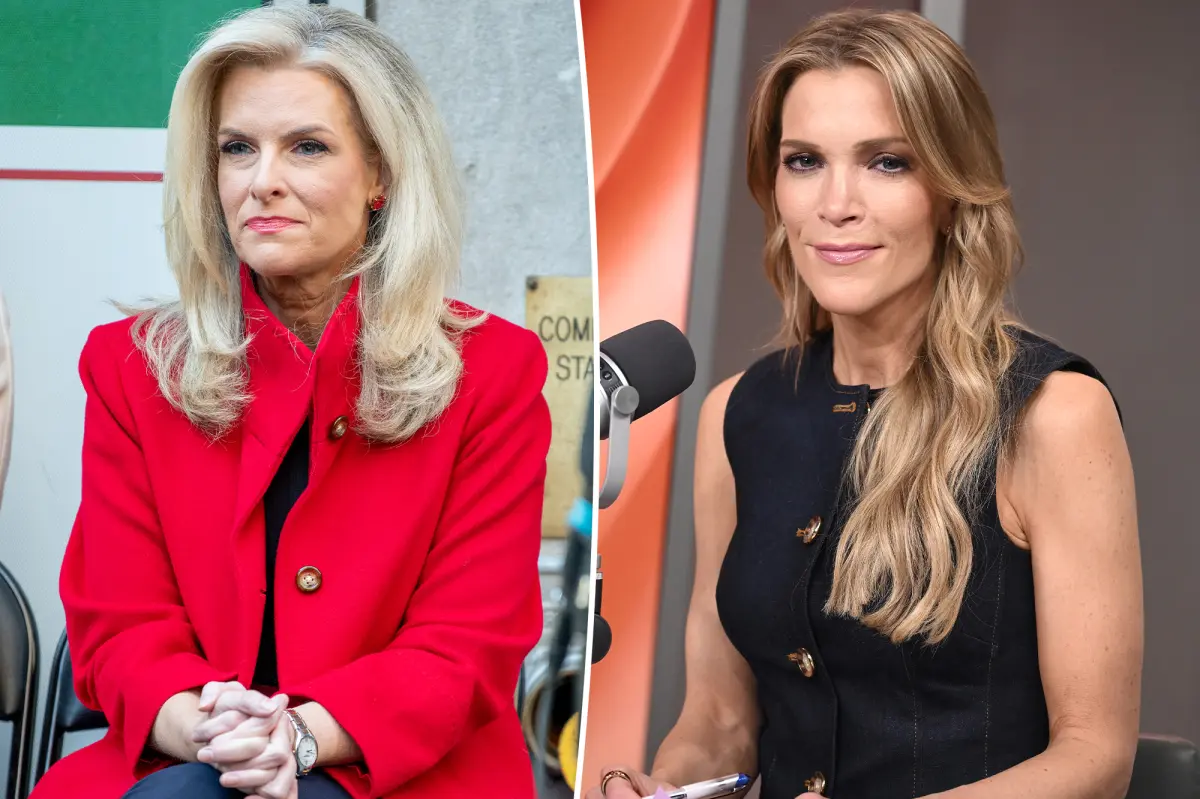 Former Fox News meterologist Janice Dean ‘sick’ of ‘mean girl’ Megyn Kelly ‘putting people down’