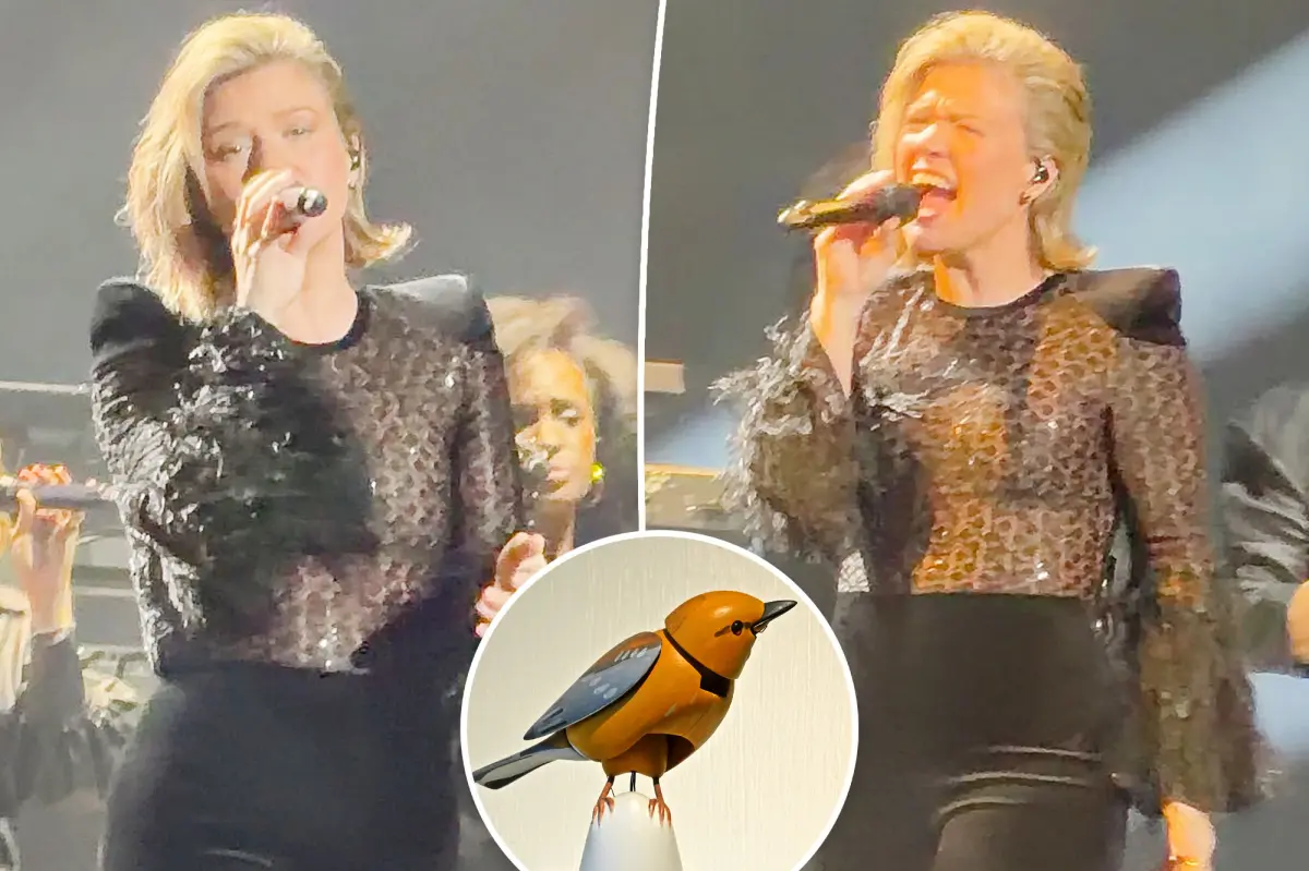 Kelly Clarkson returns to stage as drama with Brooklyn store over toy bird rages on