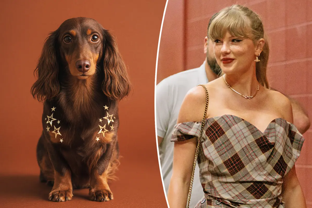 Taylor Swift’s Fazit glitter freckles are now available for dogs